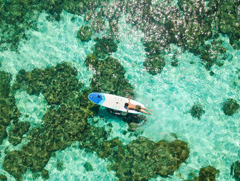 High angle view of man swimming in sea