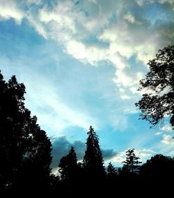 Low angle view of silhouette trees against sky