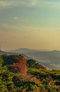 Scenic view of landscape against sky during sunset