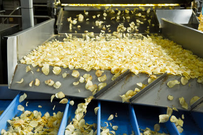 Close-up of yellow flowers in factory