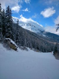 Scenic view of landscape against sky during winter