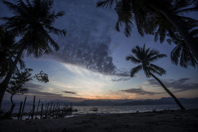 Silhouette palm trees on beach against sky during sunset