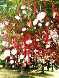Lanterns hanging on tree
