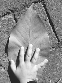 High angle view of hands