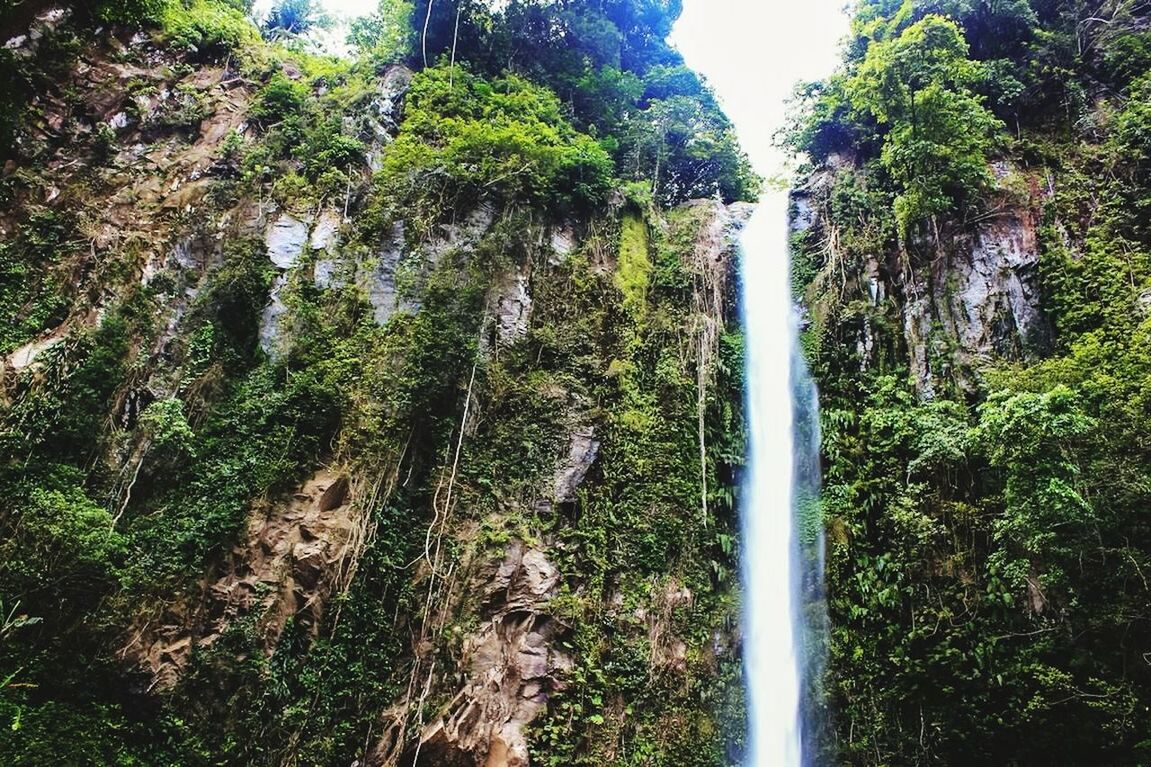 beauty in nature, waterfall, nature, forest, tree, motion, scenics, tranquil scene, no people, outdoors, tranquility, day, idyllic, lush foliage, long exposure, growth, water, green color, tree trunk, freshness