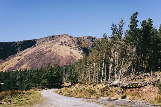 mountain, clear sky, road, tranquility, tranquil scene, tree, the way forward, scenics, landscape, nature, beauty in nature, blue, non-urban scene, transportation, sky, country road, sunlight, mountain range, dirt road, rock formation