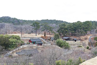 High angle view of trees and houses against clear sky