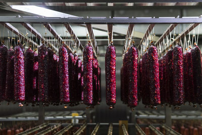 Close-up of clothes hanging on ceiling