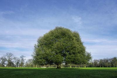 Scenic view of grassy field against cloudy sky