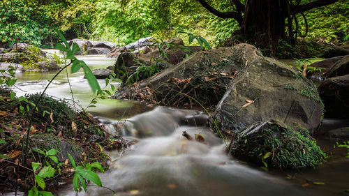 View of waterfall in forest
