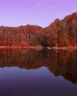 Reflection of trees in lake against sky