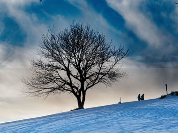 Silhouette bare tree against sky during winter