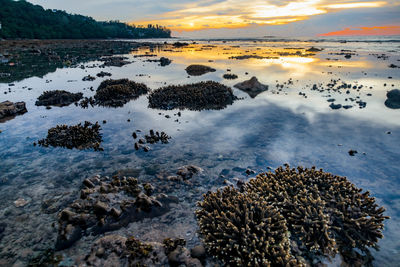 Scenic view of coral sea against sky during sunset