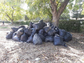 Stack of rocks on field