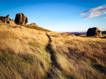 Scenic view of land against clear sky