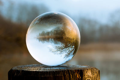 Close-up of crystal ball against trees