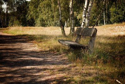 Wood bench on grassy field