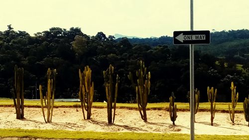 Road sign by trees against sky