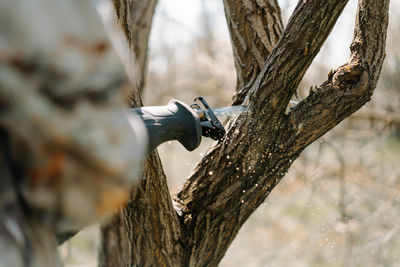 Close-up of a hand in protective gloves sawing a tree trunk with a hand saw