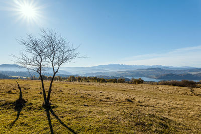 Scenic view of landscape against sky