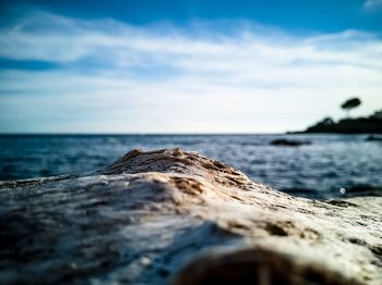 Surface level of rocks on beach against sky