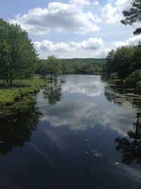 Scenic view of lake in forest against sky