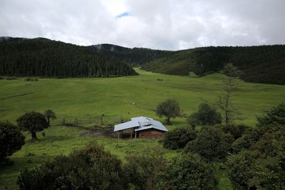 Scenic view of grassy field against cloudy sky