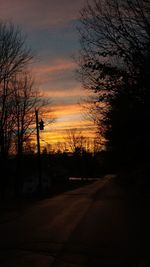 Silhouette of trees at sunset