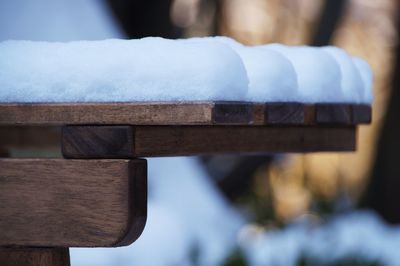 Close-up of ice on wood