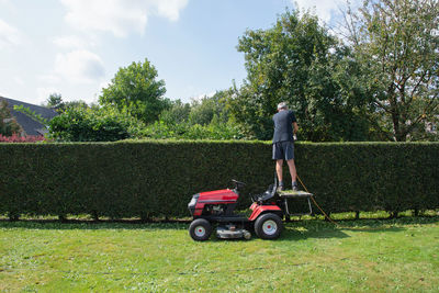 A gardener or worker uses stands to cut petrol hedge trimmers