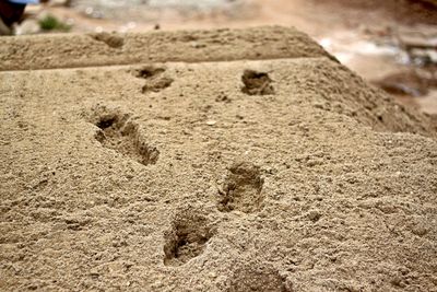 Close-up of sand on beach