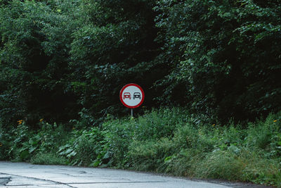 Road sign by trees