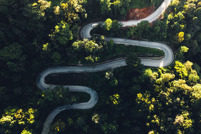 High angle view of road amidst trees