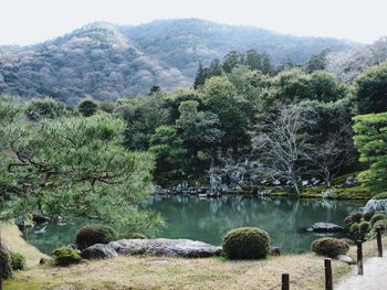 Scenic view of lake by trees against sky