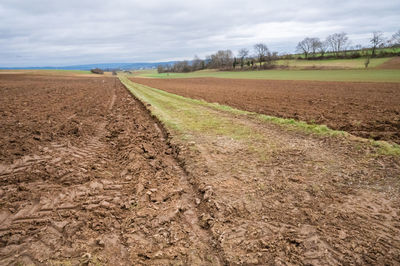 soil