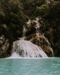 Scenic view of waterfall in forest