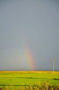 Scenic view of rural landscape