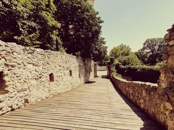 Narrow footpath amidst trees against clear sky