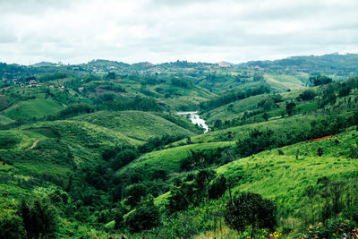 Scenic view of landscape against sky