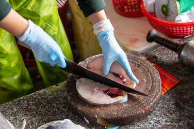 High angle view of hand holding fish