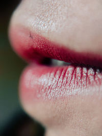 Close-up of human lips