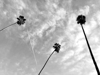 Low angle view of silhouette palm trees against sky