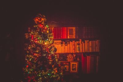 Low angle view of illuminated christmas tree at night