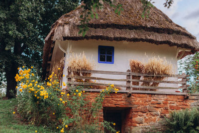 House and trees by building