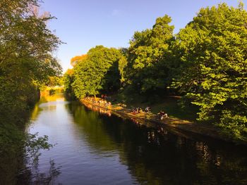 Reflection of trees in river