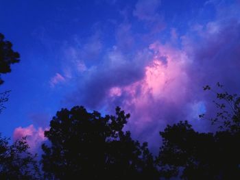 Low angle view of silhouette trees against sky at sunset