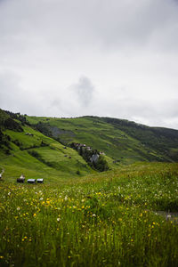nature