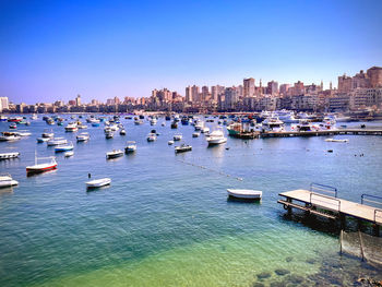 Boats moored at harbor 