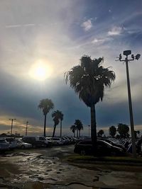 Silhouette palm trees at beach against sky during sunset