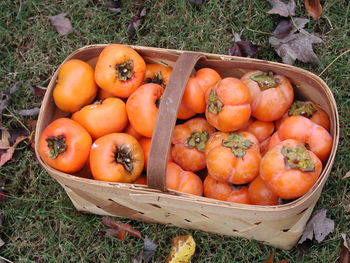 High angle view of pumpkins in basket on field